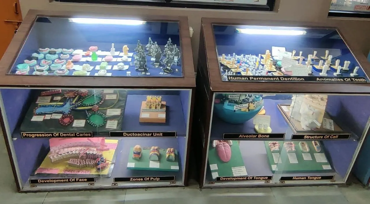 Departmental museum, Department of Oral Pathology & Microbiology, Inderprastha Dental College